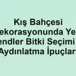 Kış Bahçesi Dekorasyonunda Yeni Trendler Bitki Seçimi ve Aydınlatma İpuçları